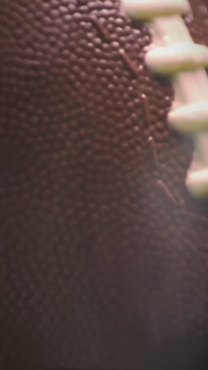 Seroogy's Chocolate Football